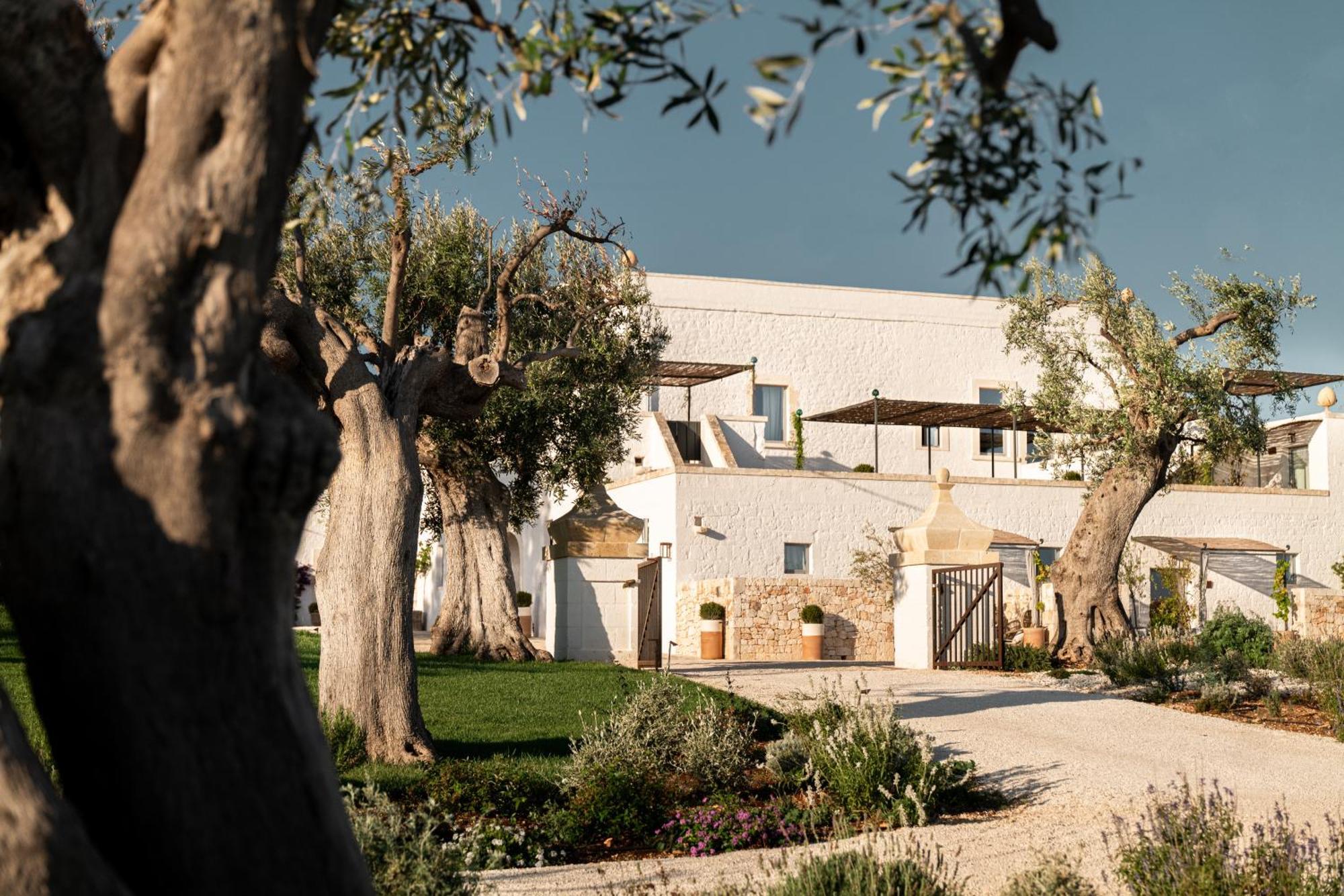 Masseria Auraterrae Polignano a Mare Eksteriør bilde