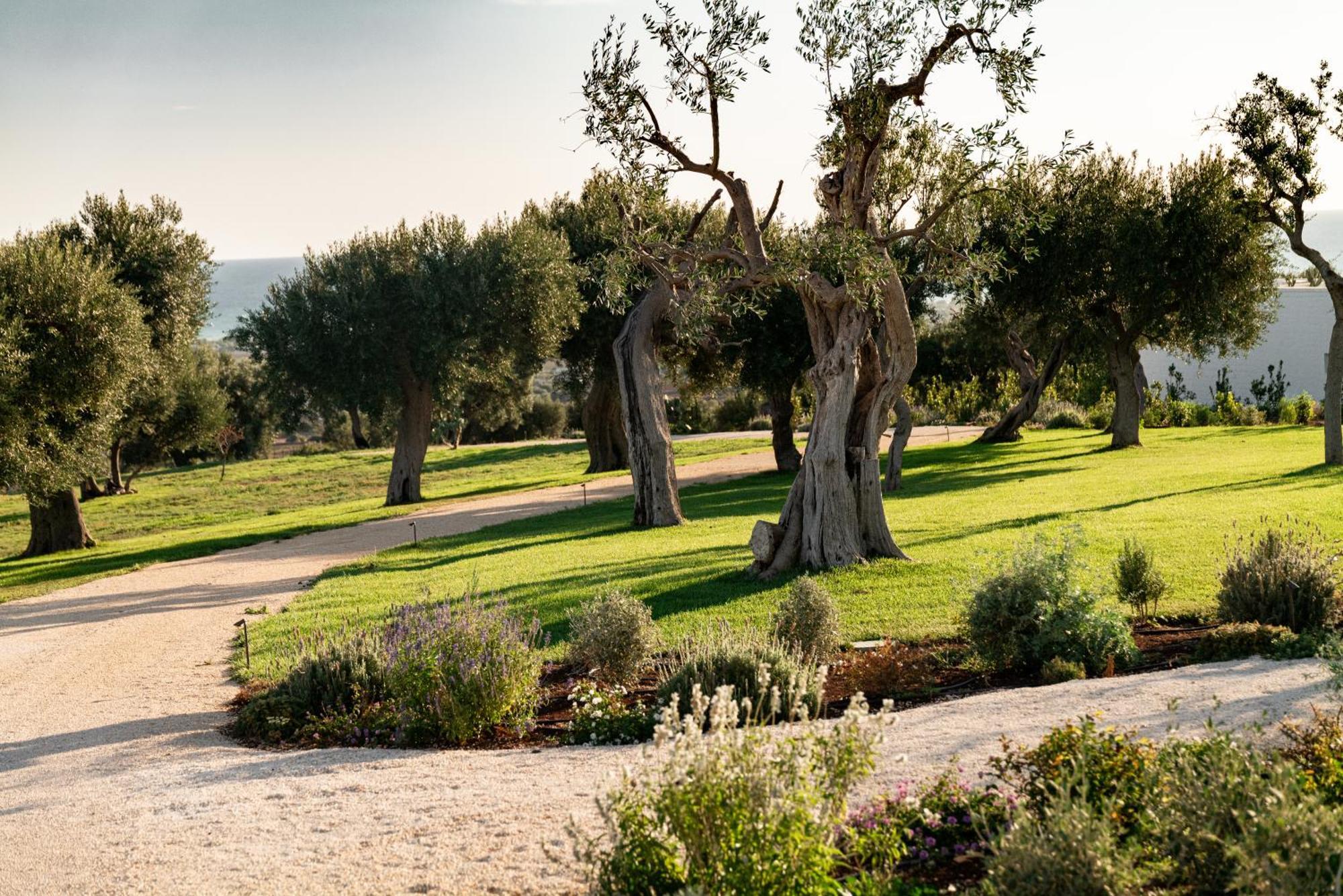 Masseria Auraterrae Polignano a Mare Eksteriør bilde